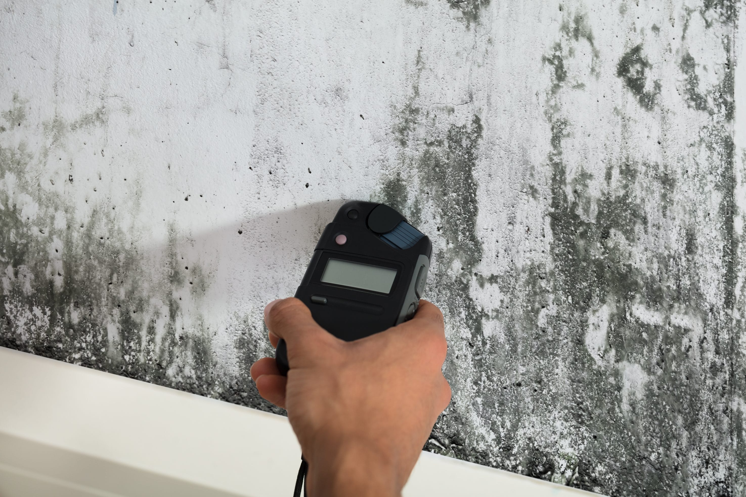 Hand Holding Mold Testing Device Inspecting Wall
